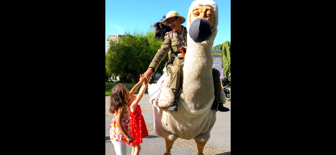 Les dodos