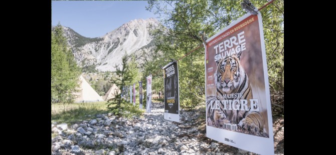 Déco Terre Sauvage Festival